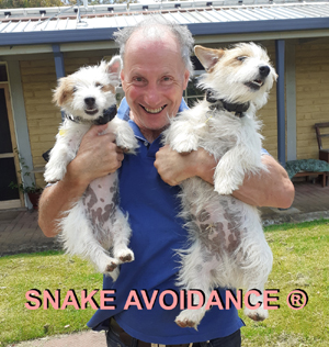 Snake Avoidance
